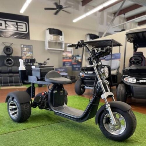 2021 XR Trike Fat Tire for Sale