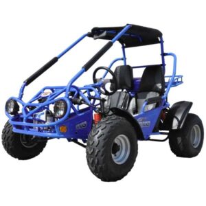 TrailMaster 200 XRS GoKart For Sale