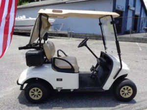 Used 2020 Ez-Go Golf Carts All Txt Electric 2-Pass Golfer For Sale