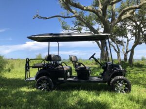 2019 E-Z-GO EXPRESS L6 GAS FOR SALE