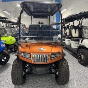 2025 Evolution D5 RANGER 4 For Sale